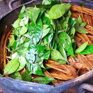 Ayahuasca tea plant-k2spicemdpvdroga