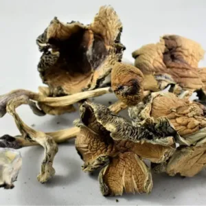 psilocibina donde comprar​-k2spicemdpvdroga